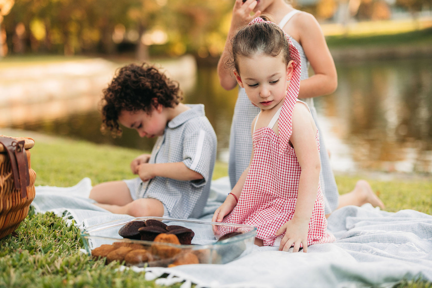 Navy Picnic Short Set